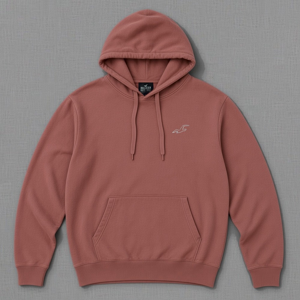 Hollister Must-Have Collection Pullover Hoodie Size L Faded Coral Salmon Seagull